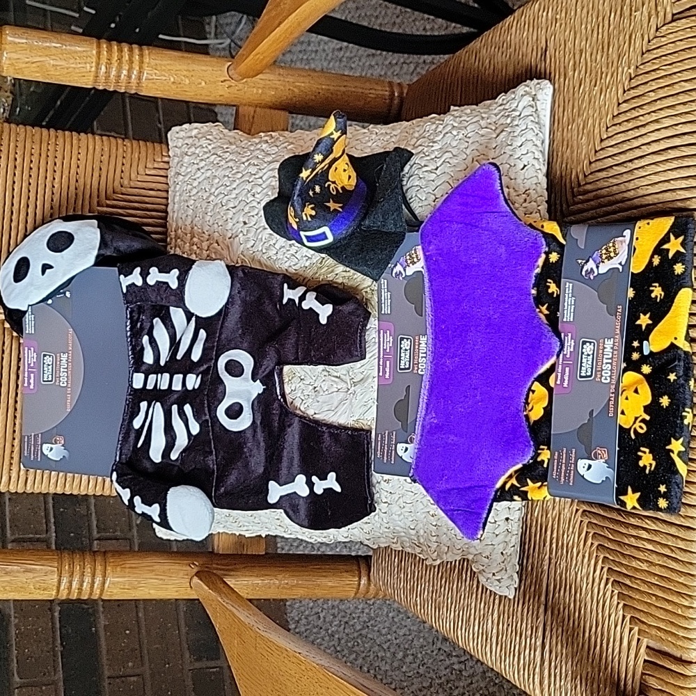 Heart to tail dog costumes, skeleton and witch, set of 2 (medium size dogs)